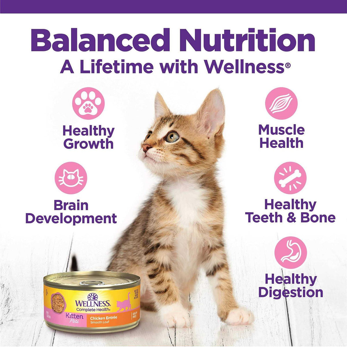 Whitefish & Tuna Wet Cat Food T1766