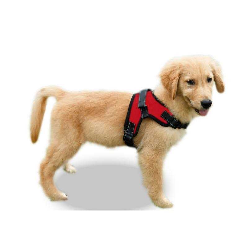 Adjustable Reflective Dog Harness with Handle T954