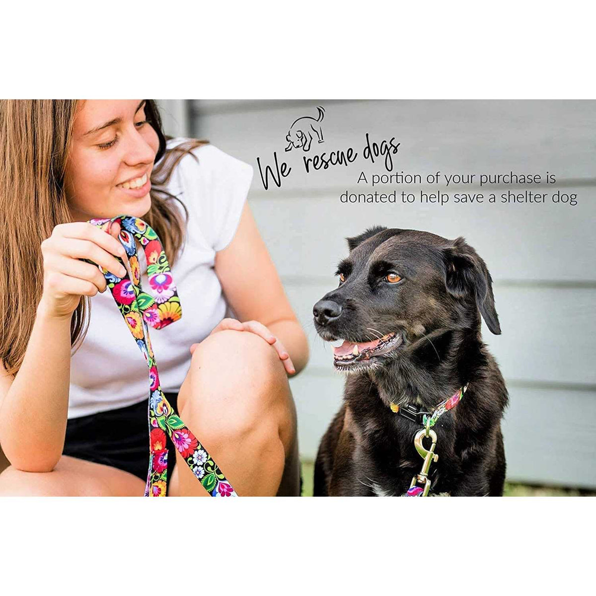 Martingale Dog Collar No Slip Z24190