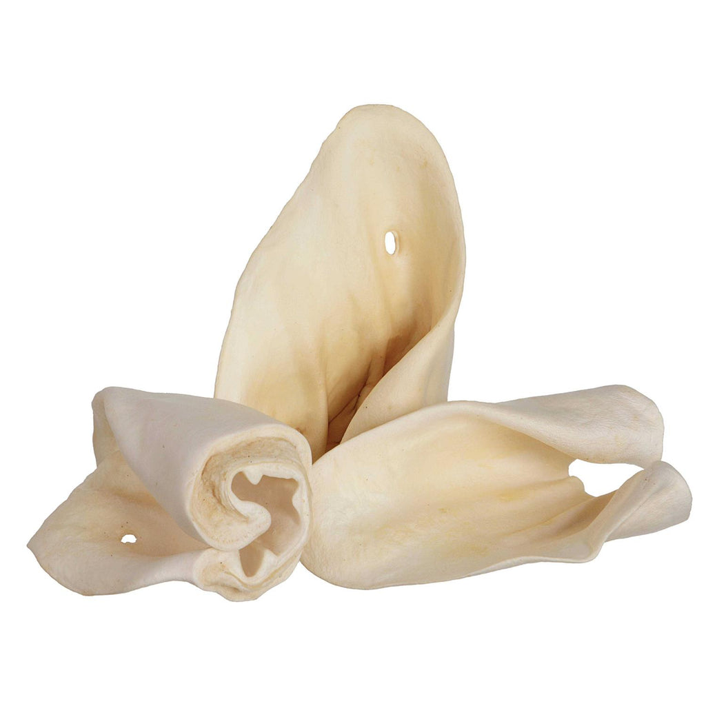 Cow Ears O20614