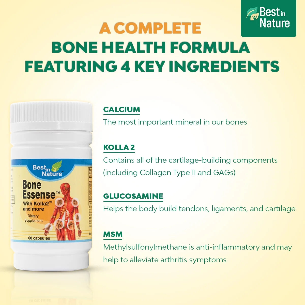 Bone Health Supplement 60ct R3632