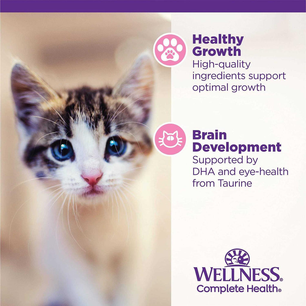 Whitefish & Tuna Wet Cat Food T1766