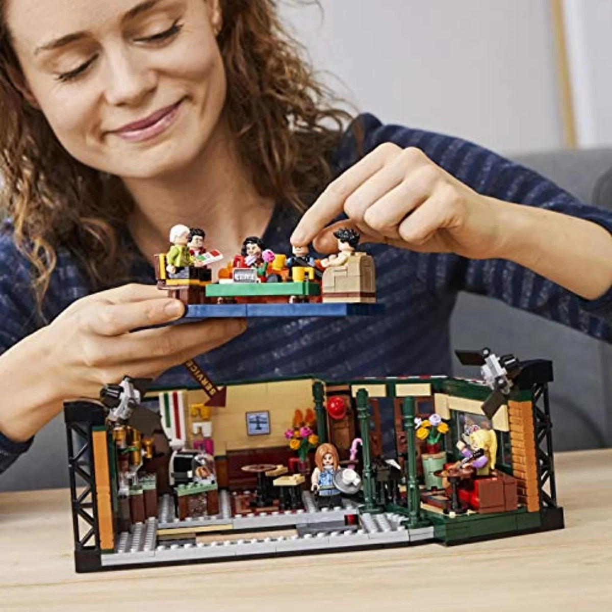 LEGO Ideas Collectors Set J31503