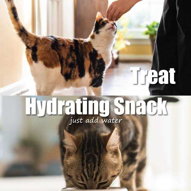 Freeze-Dried Chicken Cat Treats F45462