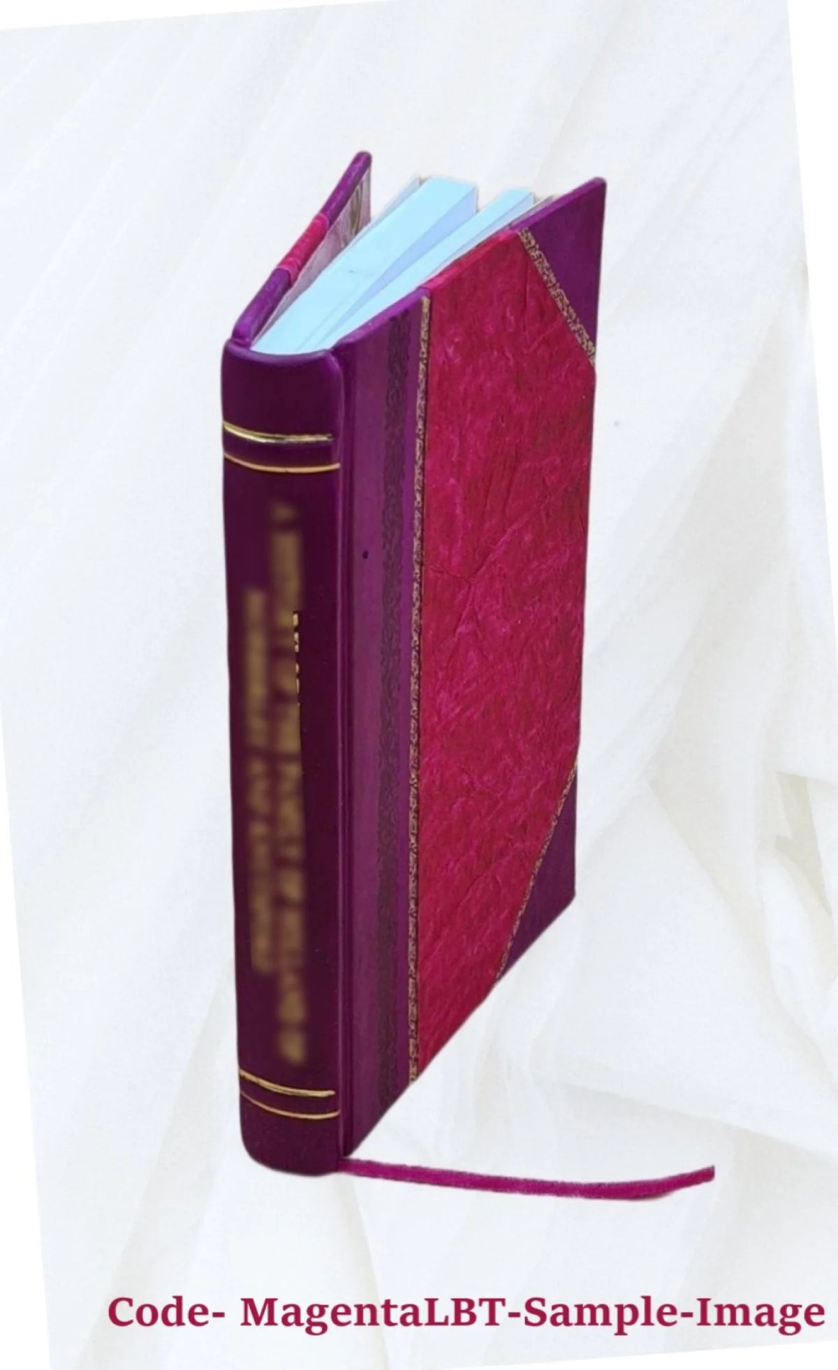 Park and Playground System Plan Leather Bound N256