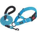 2 Packs Reflective Martingale Dog Collar K666030