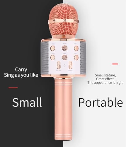 Wireless Bluetooth Karaoke Microphone 3-in-1 J623624