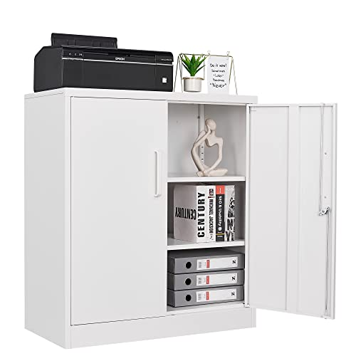 Metal Garage Storage Cabinet with 2 Doors and 2 Adjustable Shelves I575