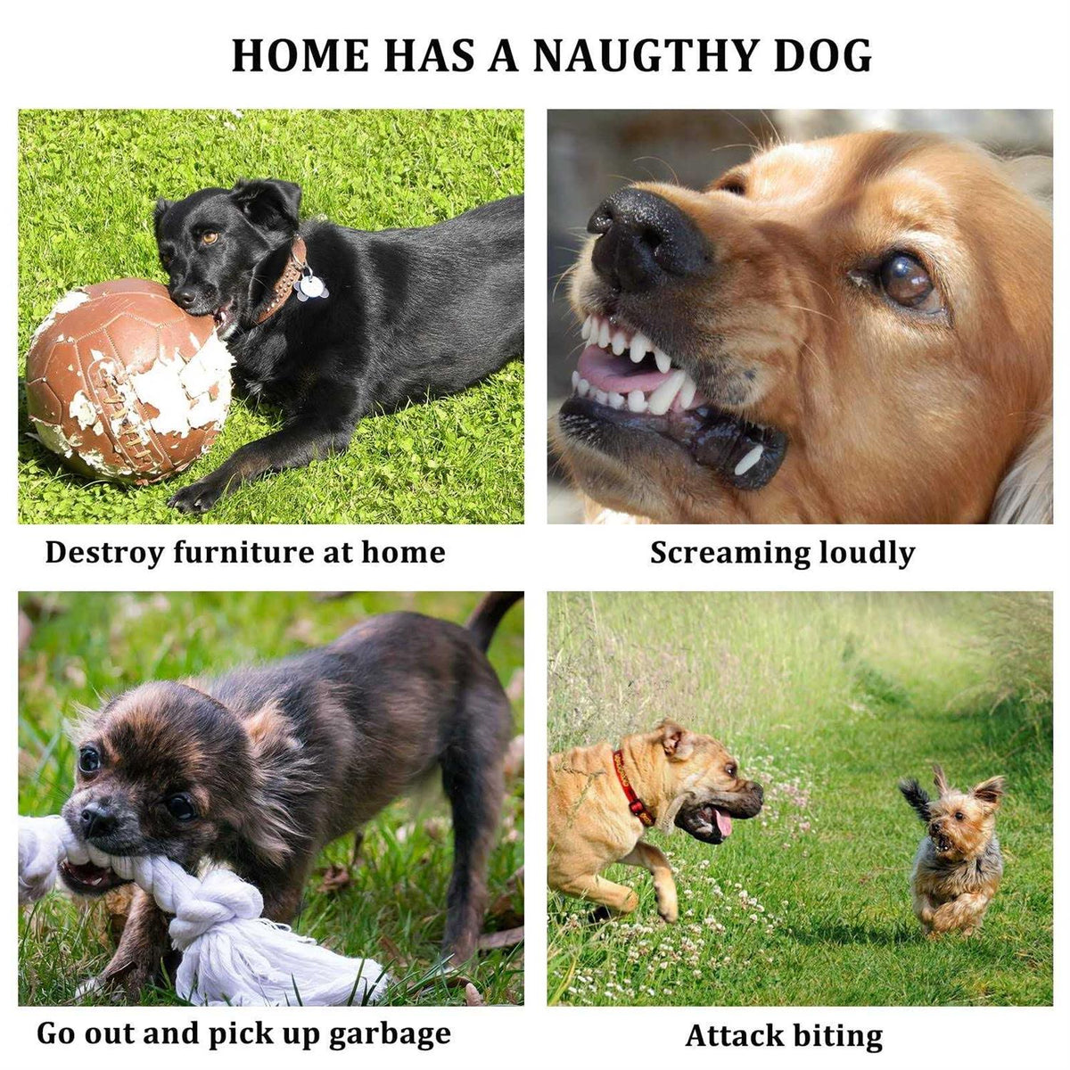 3pcs Silicone Dog Muzzle Anti Barking Chewing Adjustable I394724