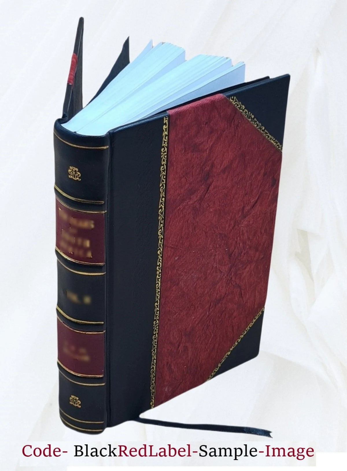 Leather Bound Book N867