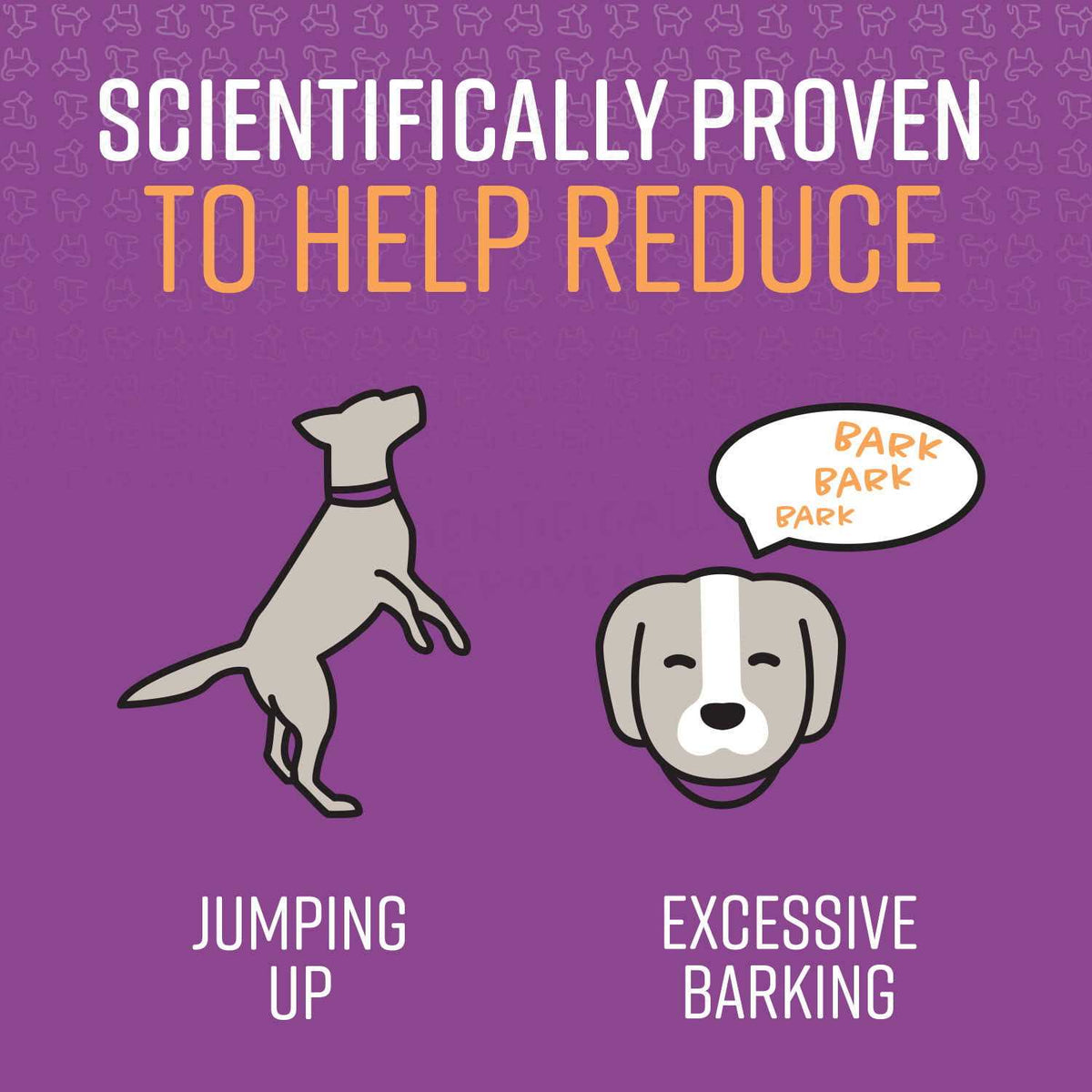 Behavior Correction Spray for Dogs B63216