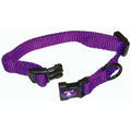 Adjustable Dog Collar M834